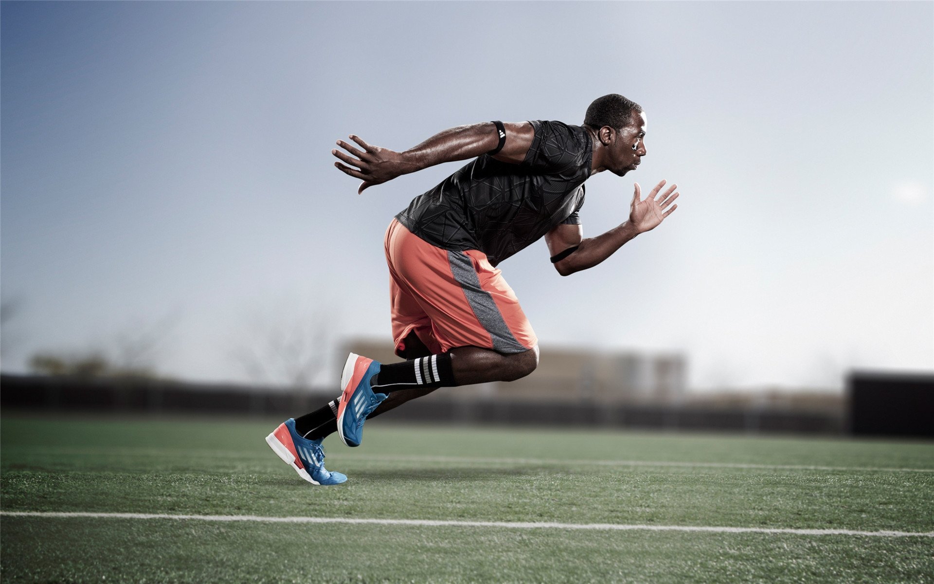 未来篮球：多媒体互动带来前所未有的观赛体验，未来篮球场图片